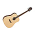 DBT DBW Tanglewood