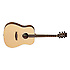DBT DBW Tanglewood