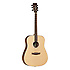 DBT DBW Tanglewood
