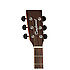 DBT DBW Tanglewood