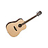 Discovery DBT DEB Tanglewood