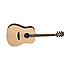 Discovery DBT DEB Tanglewood