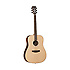 Discovery DBT DEB Tanglewood