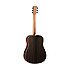 Discovery DBT DEB Tanglewood