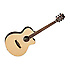 DBT SFCE EB Tanglewood