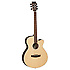DBT SFCE EB Tanglewood