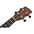 G9110 Concert Standard Ukulele Vintage Mahogany Stain + Housse Gretsch Guitars