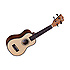 TU STS Tanglewood