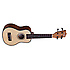 TU STS Tanglewood