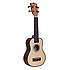 TU STS Tanglewood