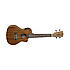 TWT12E Ukulélé Concert Électroacoustique Tanglewood