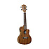 TWT12E Ukulélé Concert Électroacoustique Tanglewood