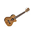 TWT14E Ukulélé Ténor Électroacoustique + housse Tanglewood