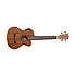 TWT17E Ukulélé Ténor Électroacoustique + housse Tanglewood