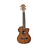 TWT17E Ukulélé Ténor Électroacoustique + housse Tanglewood