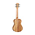 TWT9 Tanglewood