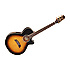 TSP 138C-TBS Thinline + étui Takamine