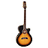 TSP 138C-TBS Thinline + étui Takamine