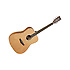 TW11DOL Tanglewood
