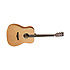 TW11DOL Tanglewood