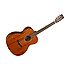 TW130SM Tanglewood