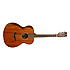 TW130SM Tanglewood