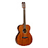 TW130SM Tanglewood