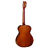 TW130SM Tanglewood