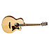 TW 145 SS CE Tanglewood