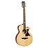 TW 145 SS CE Tanglewood