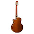 TW 145 SS CE Tanglewood