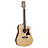 TW 15 NSCE Tanglewood