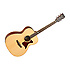 TW170 SS Tanglewood
