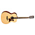 TW170 SS Tanglewood