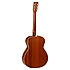 TW170 SS Tanglewood