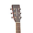 TW170 SS Tanglewood