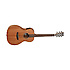 TW3E Tanglewood