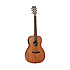 TW3E Tanglewood