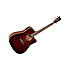 TW5WB Tanglewood