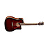 TW5WB Tanglewood