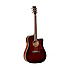 TW5WB Tanglewood