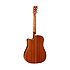 TW5WB Tanglewood