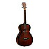 TW CRP Tanglewood