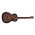 TW CR PE Tanglewood