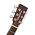 TW CR PE Tanglewood