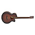 TW CR SFCE Tanglewood