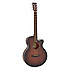 TW CR SFCE Tanglewood