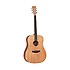 TWUD CN Tanglewood