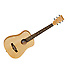 TWRT Travel Size + housse Tanglewood
