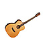 TWJF Tanglewood